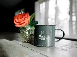 2409 - Oak Knoll #11 cabin