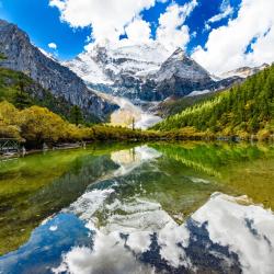 Sichuan Accommodation Arizona