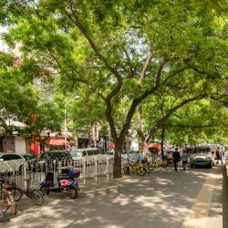 Yabao Road, Beijing Accommodation Arizona