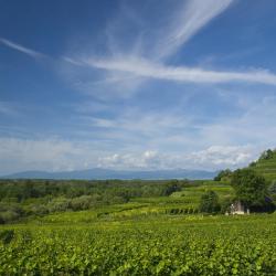 Baden-Württemberg Accommodation Arizona