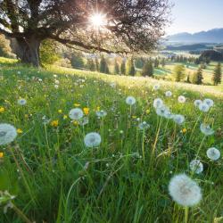 Bavaria Accommodation Arizona