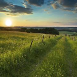 Eifel Accommodation Arizona