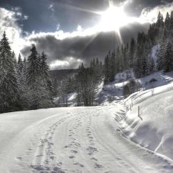 Feldberg Accommodation Arizona