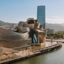 Guggenheim Museum Bilbao, Bilbao Accommodation Arizona