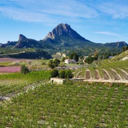 Murcia Accommodation Arizona