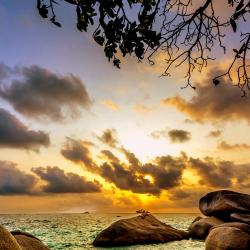 Bintan Accommodation Arizona