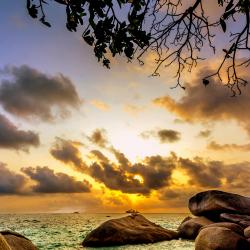 Pulau Bintan Accommodation Arizona