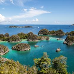 Raja Ampat Accommodation Arizona