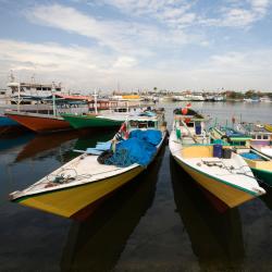 South Sulawesi Accommodation Arizona