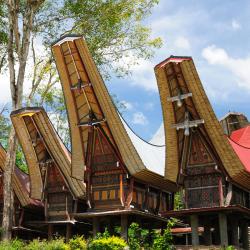 Sulawesi Accommodation Arizona