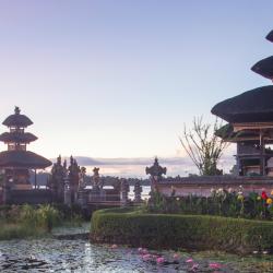 Tabanan Accommodation Arizona