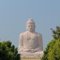 Bihar Accommodation Arizona