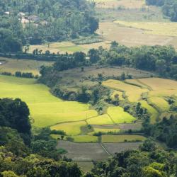 Coorg Accommodation Arizona