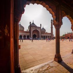 Delhi NCR Accommodation Arizona