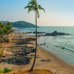 North Goa Accommodation Arizona