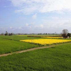 Punjab Accommodation Arizona