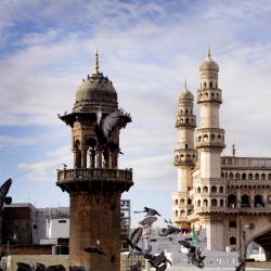 Telangana Accommodation Arizona