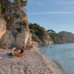 Elba Accommodation Arizona