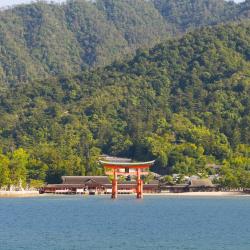 Aichi Accommodation Arizona