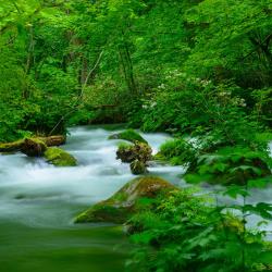 Aomori Accommodation Arizona