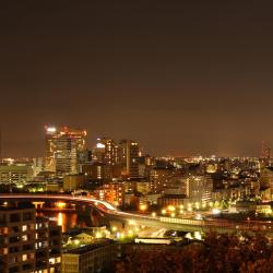 Fukuoka Accommodation Arizona