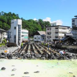 Gunma Accommodation Arizona