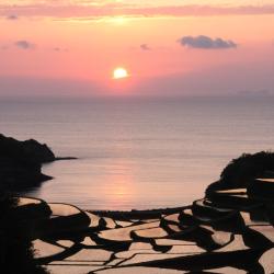 Saga Accommodation Arizona