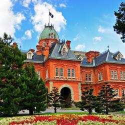 Sapporo Accommodation Arizona