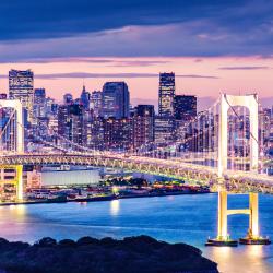 Tokyo Accommodation Arizona