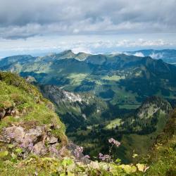 Coromandel Peninsula Accommodation Arizona