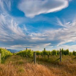 Marlborough Accommodation Arizona