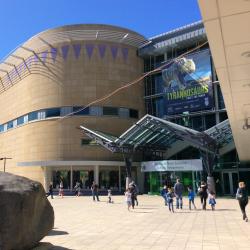 Te Papa Museum, Wellington Accommodation Arizona