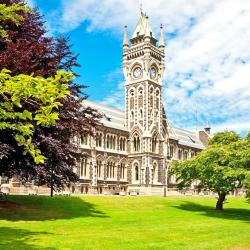 University of Otago, Dunedin Accommodation Arizona