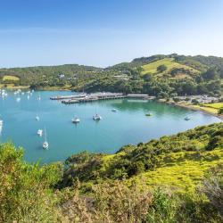 Waiheke Island Accommodation Arizona