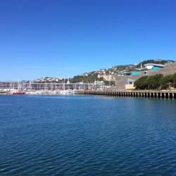 Wellington Accommodation Arizona