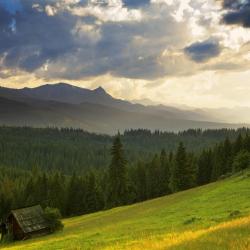 Gmina Bukowina Tatrzanska Accommodation Arizona