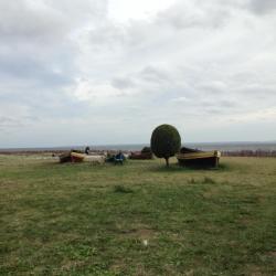 Kashubia Accommodation Arizona