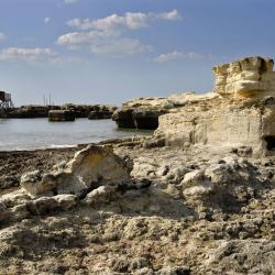 Podlaskie Accommodation Arizona