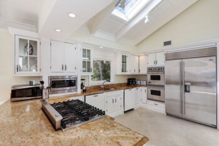 12 Royal Tern - thumb 0