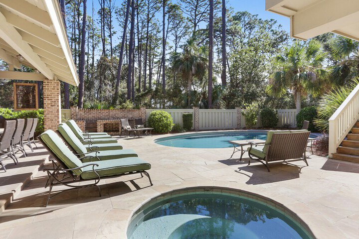 12 Royal Tern - thumb 3