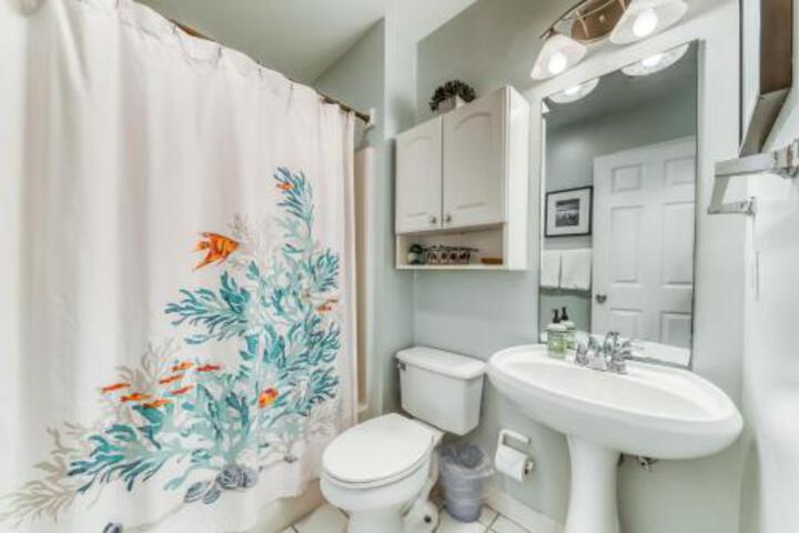 Tybee Turtle - thumb 6