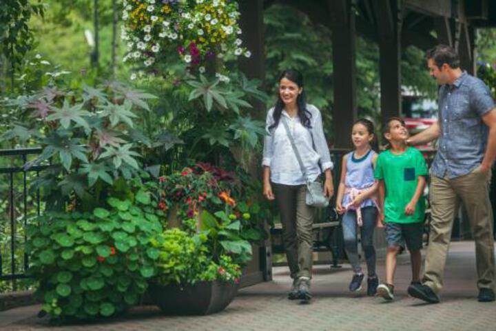 Modern 2br + Den At St. James Sleeps 10! Condo - thumb 2