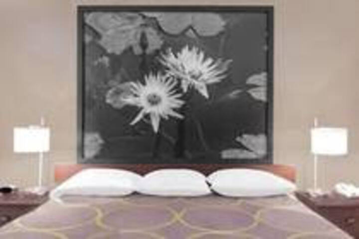 Key West Inn - thumb 1