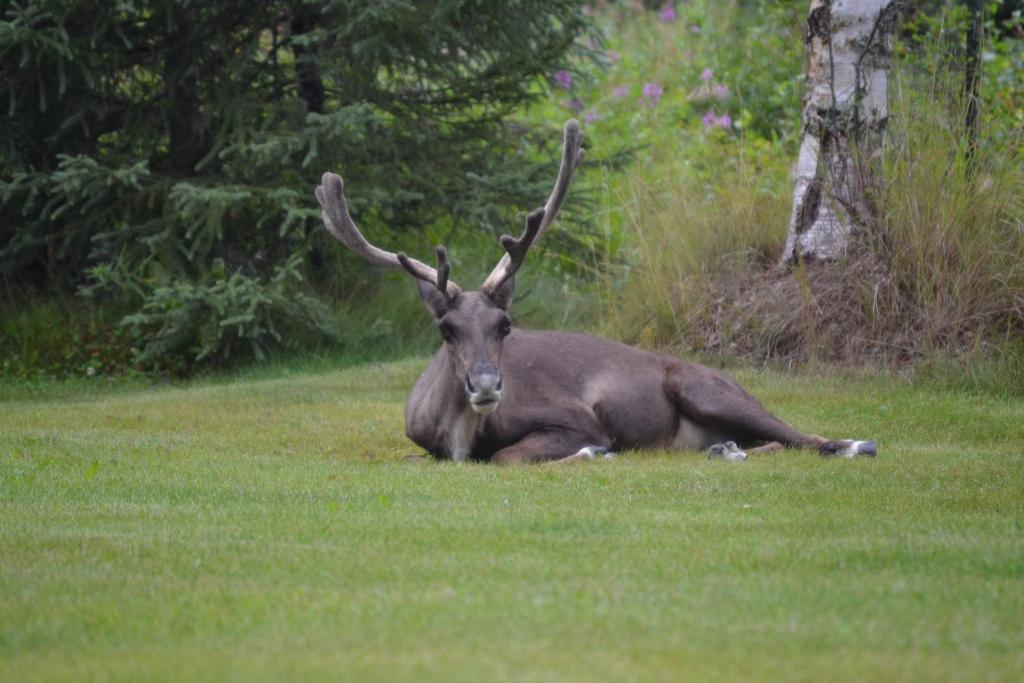 All Seasons B & B - thumb 3