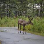 All Seasons B & B - thumb 0