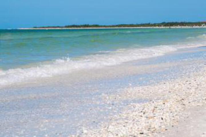 1 Bed Direct Beach Access Close To J.W. Marriott!! - thumb 2