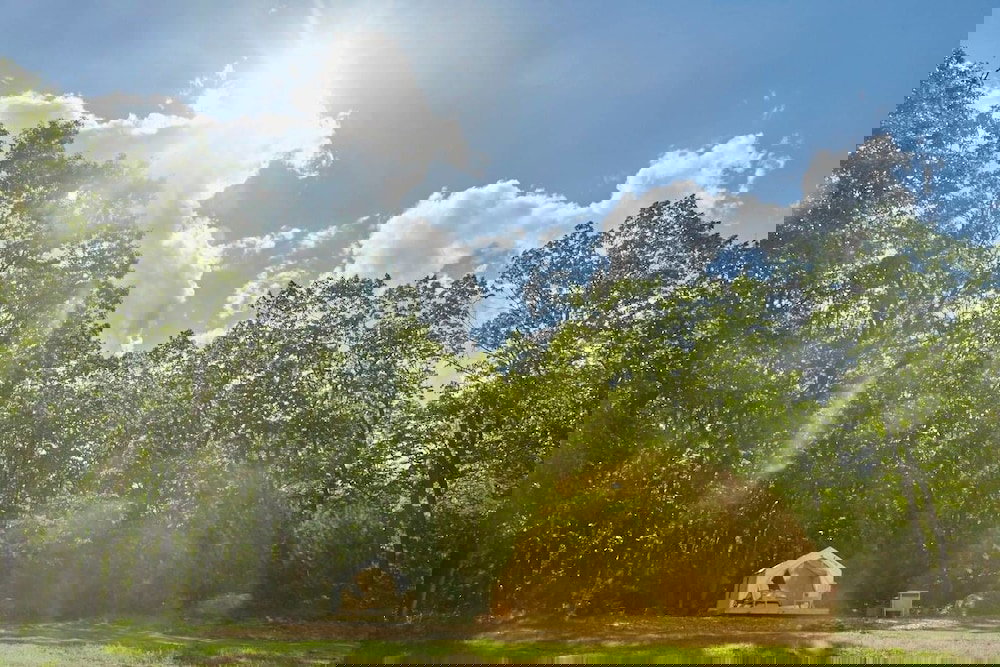 Tentrr Abandoned Zoo Overlook 	 Campsite - thumb 4