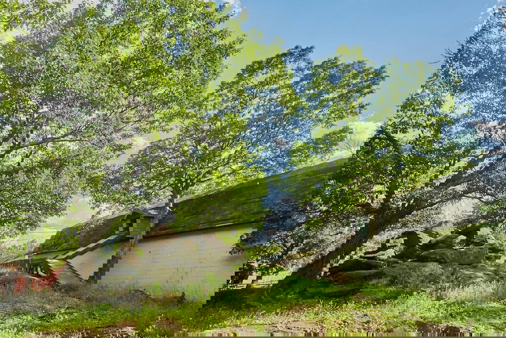 Tentrr Abandoned Zoo Overlook 	 Campsite - thumb 3