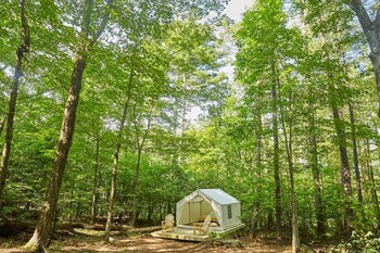 Tentrr Abandoned Zoo Wooded Site - thumb 4