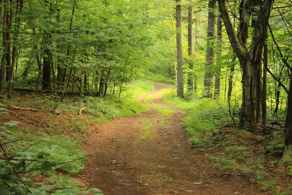 Tentrr Abandoned Zoo Wooded Site - thumb 2